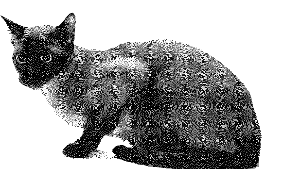 A macska